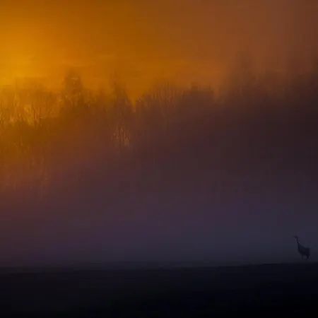 Siedlisko Milobrzozka *