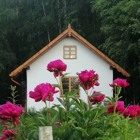 Siedlisko Milobrzozka סורקביטי