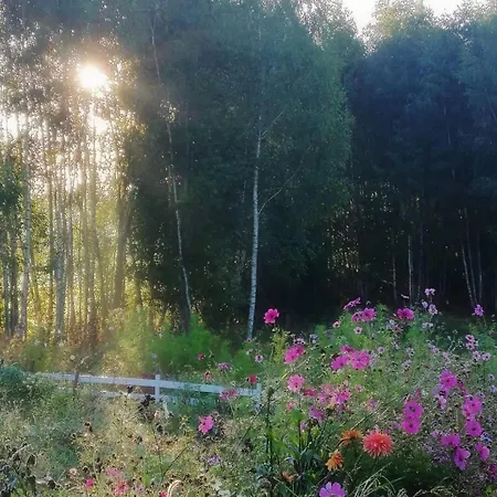 Siedlisko Milobrzozka * סורקביטי