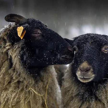 Siedlisko Milobrzozka