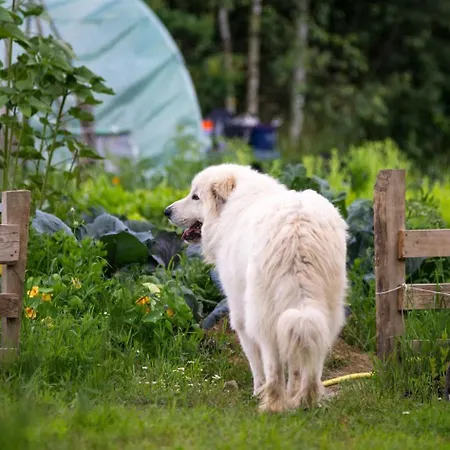 בית נופש Siedlisko Milobrzozka *