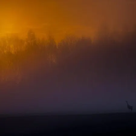 בית נופש Siedlisko Milobrzozka